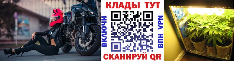 Купить Кострома блэк спрут как зайти  Alpha-PVP  ГАШ  Мефедрон  Конопля 