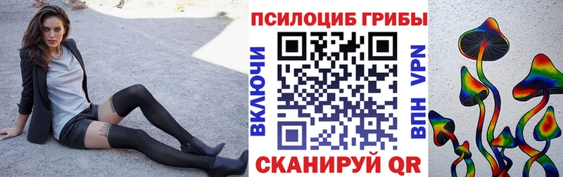 Галлюциногенные грибы Psilocybe  Кострома 