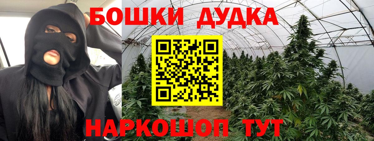 Конопля конопля  Бошки Шишки Bruce Banner  Бошки марихуана LSD WEED  Вход с VPN  Кострома 