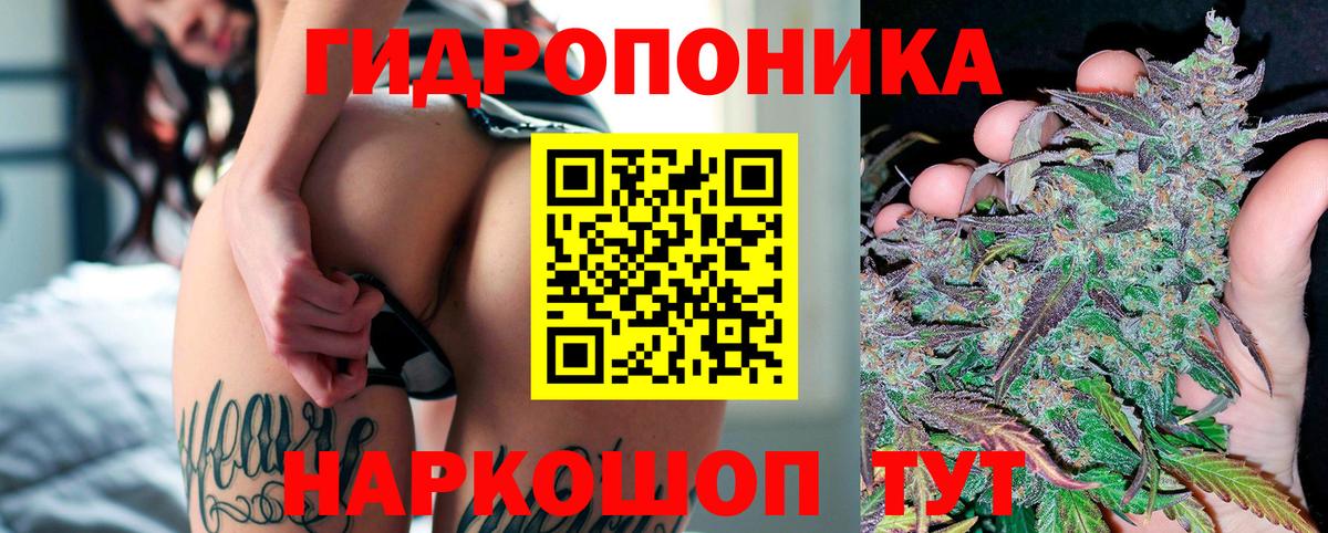 Бошки марихуана Ganja Кострома